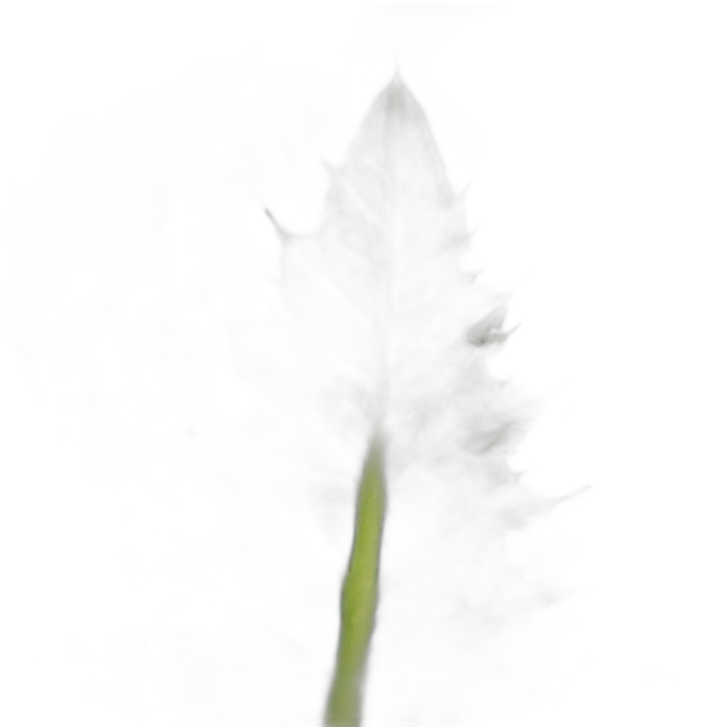 Cardo mariano — extracto natural para bienestar digestivo